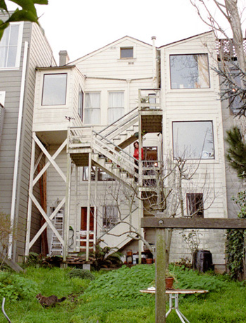 View up from the back yard, before